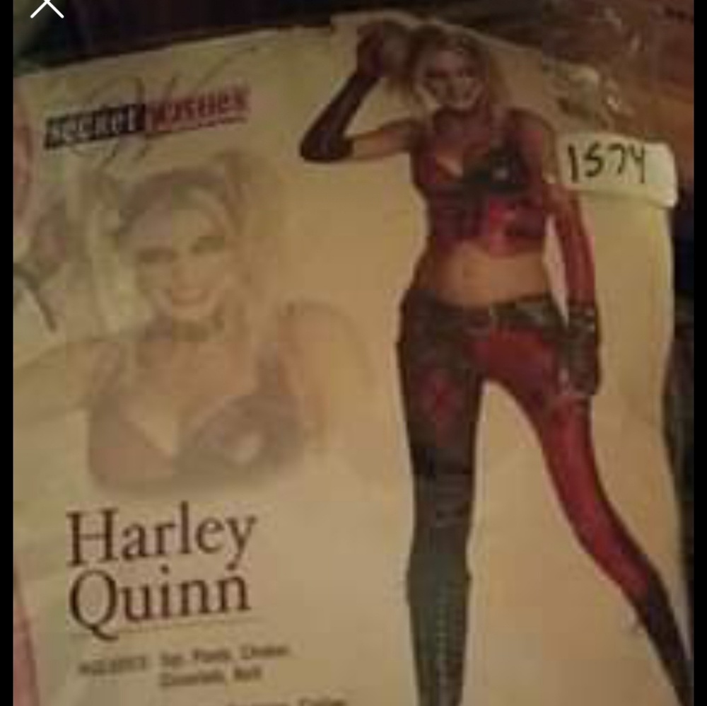 Harley Quinn Halloween Costume